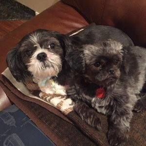 Meet your Posher, Anna maria